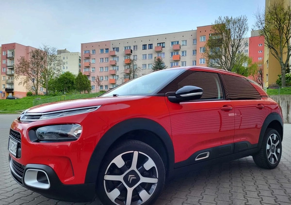 Citroen C4 Cactus cena 41900 przebieg: 200000, rok produkcji 2019 z Gliwice małe 254